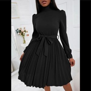 Turtleneck Pleated Belted Dressed